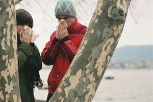 blog-post-preview